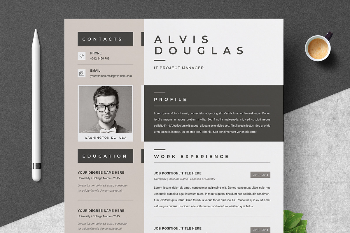JOB WINNING RESUME - 50 TEMPLATES, a Resume Template by ResumeInventor (Photo 101 of 184)