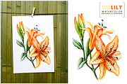 5 illustrations flower color mix, a Decorative Illustration by Integrity_store (Thumbnail 5 of 11)