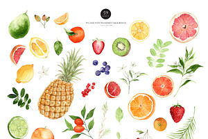 Watercolor Clipart - Tropical Fresh