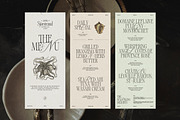 Alizee - Classy Hybrid Serif, a Serif Font by Harmonais Visual (Thumbnail 8 of 29)