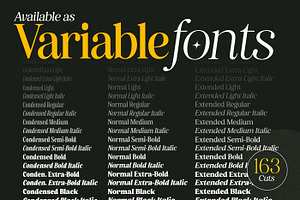 Retro Voice Variable Serif Font