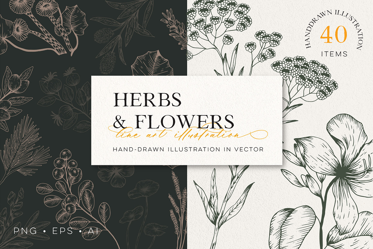 Herb & Flower Line Art in Vector, an Illustration by Manimanisa (Photo 1 of 8)