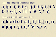 ANDREW ELEGANT Font, a Serif Font by 177Studio (Thumbnail 6 of 7)