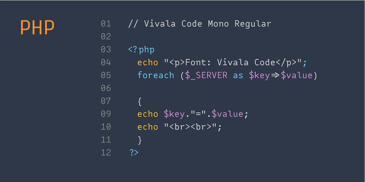 Vivala Code, a Sans Serif Font by VivalaType (Photo 3 of 3)