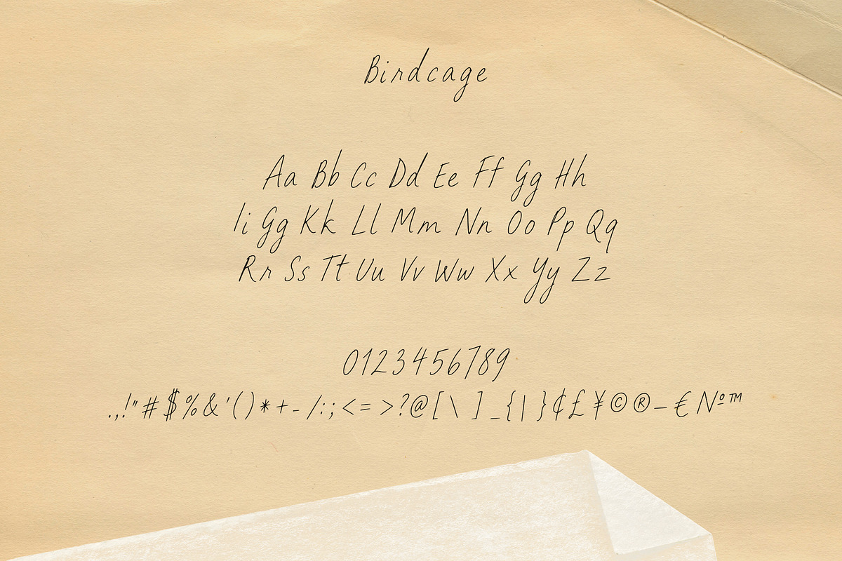 Birdcage Handwritten Font, a Handwritten Font by Mneme (Photo 7 of 8)