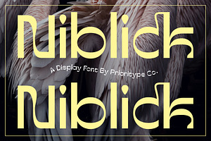 Niblick - Display Font