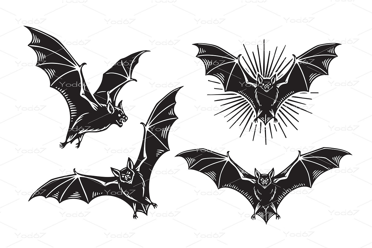 vector set of bats in flight, an Animal Illustration by yod67
