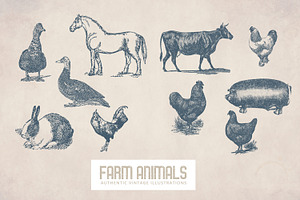 55 Vintage Farm Animals