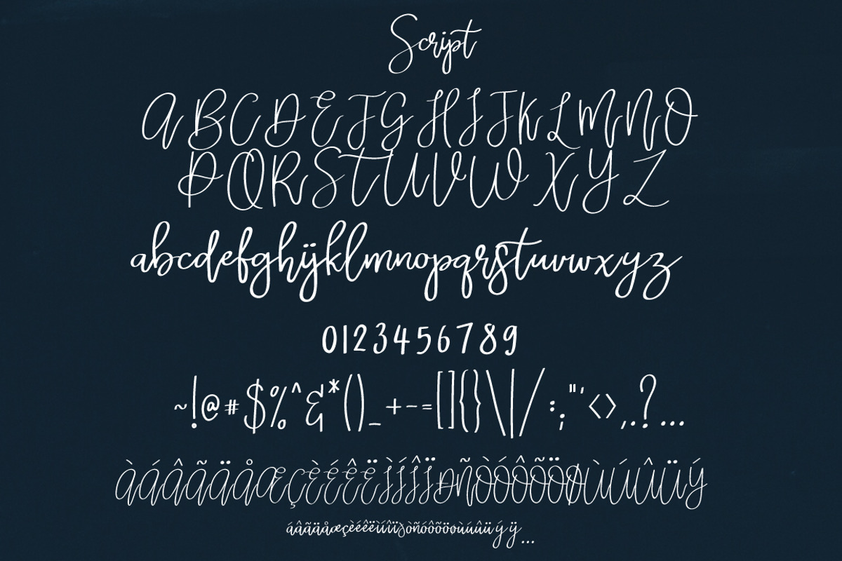 Skylar | Script Font preview 7