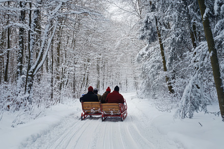 Enjoying a winter sleigh ride throug, a Photo by Iftikhar Alam