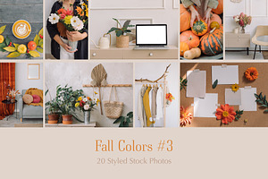 Fall Bundle 3 | 20 Styled Photos