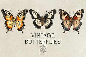 Vintage Butterflies