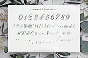 Alegarde, a Script Font by ilhamtaro (Thumbnail 9 of 10)