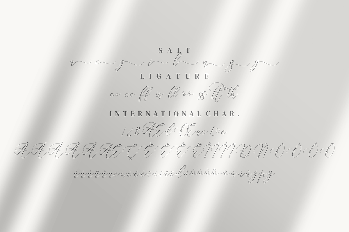 Almyrada Script, a Script Font by Integritype Studio (Photo 7 of 8)