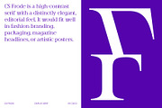 CS Frode – Modern Serif Font, a Serif Font by Craft Supply Co. (Thumbnail 4 of 8)