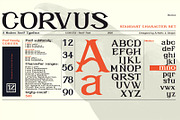 CORVUS Serif font, a Serif Font by Artistic & Unique (Thumbnail 5 of 15)