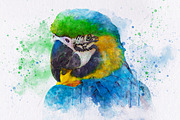 Watercolor Painting Photo Effect, a Brushes & More by INTENTFX (Thumbnail 7 of 12)