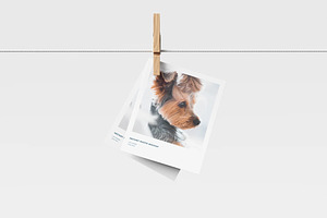Instant Photo Mockup, a Product Mockup by zpackcreative