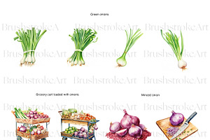 Watercolor Onion Clipart, Onion PNG