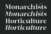 Chafira, a Serif Font by Zafiratype (Thumbnail 6 of 10)