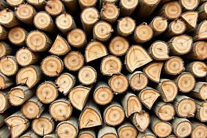 Stacked wooden logs showing natural, a Nature Photo by Artonix