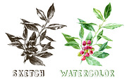 All you need is coffee, a Food Illustration by handsketched (Thumbnail 3 of 8)
