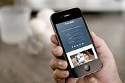 RAILWAY - Responsive Tumblr theme, a Websites & App Template by WoxThemes (Thumbnail 2 of 4)