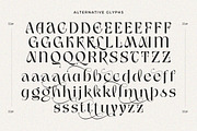 Gladick - Modern Typeface, a Serif Font by Dora Typefoundry (Thumbnail 15 of 28)