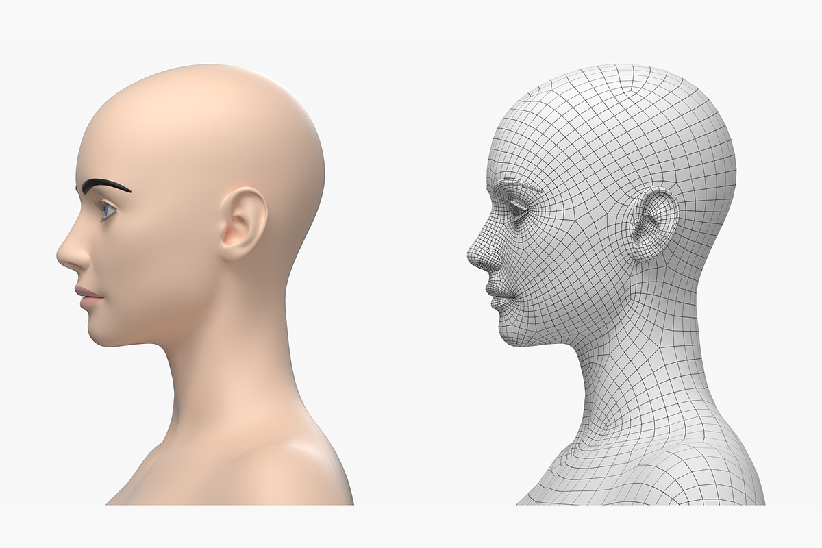 Natural Female 01 A-Pose Base Mesh, a Characters & Person 3D Model by VK Studio (Photo 18 of 26)