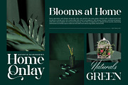 Adollia || Modern Elegant Serif Font, a Serif Font by Ermedia Studio (Thumbnail 10 of 10)