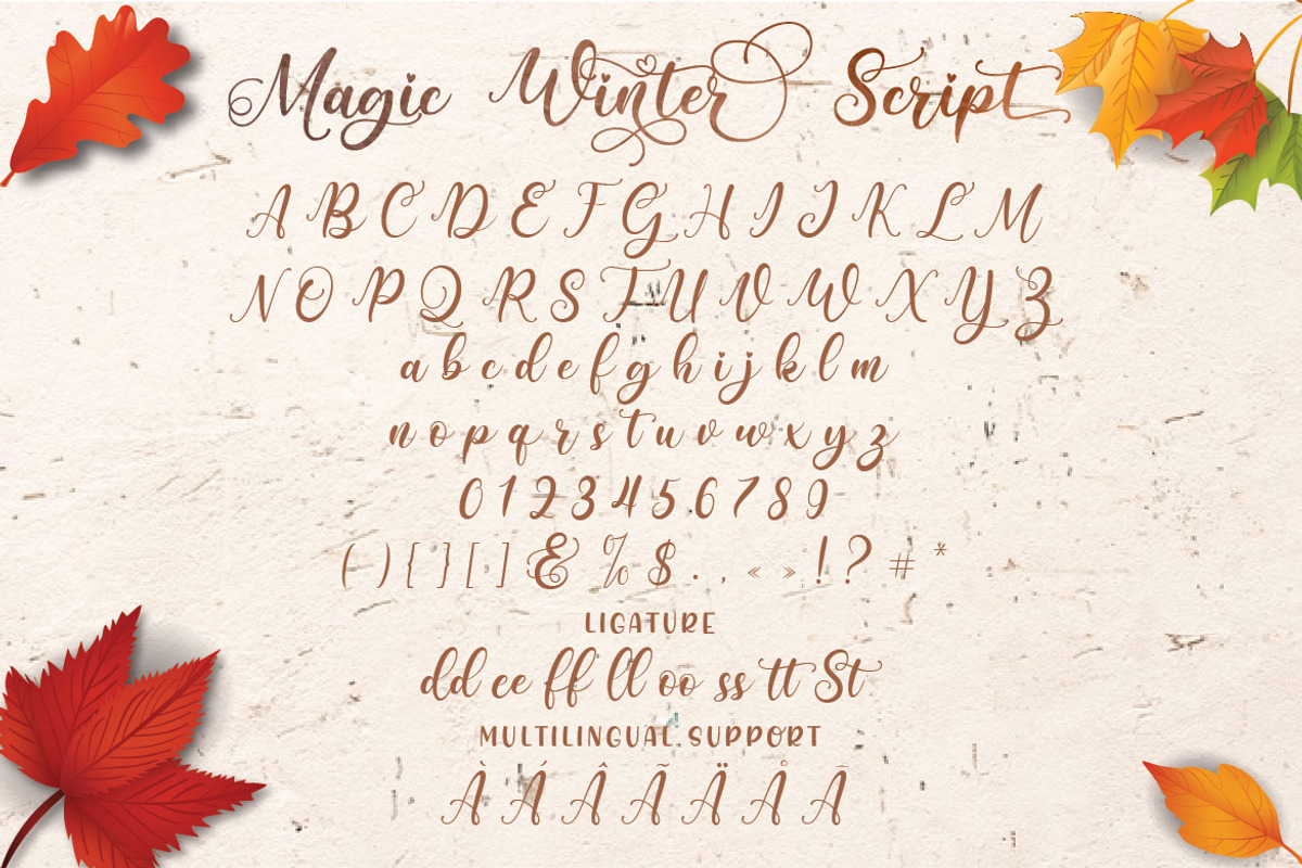 Magic Winter - Modern Calligraphy, a Script Font by Almeera Std (Photo 2 of 11)