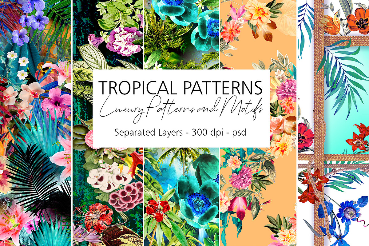 Tropical Patterns, a Pattern Graphic by Luiz da Rolt Grathwohl (Photo 1 of 7)