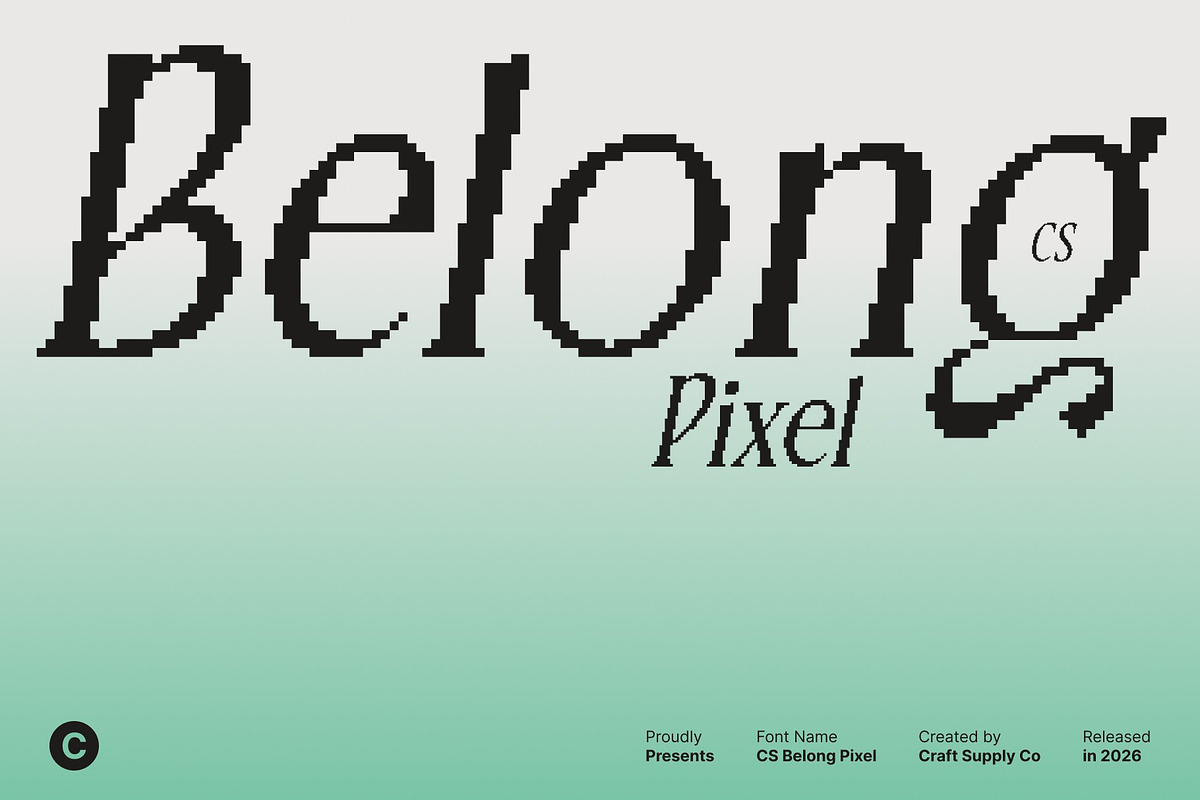 CS Belong Pixel, a Serif Font by Craft Supply Co. (Photo 1 of 8)