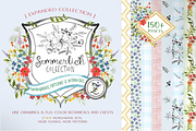 Sommerlich Expanded Collection, an Illustration by KLUGE+CO (Thumbnail 1 of 11)