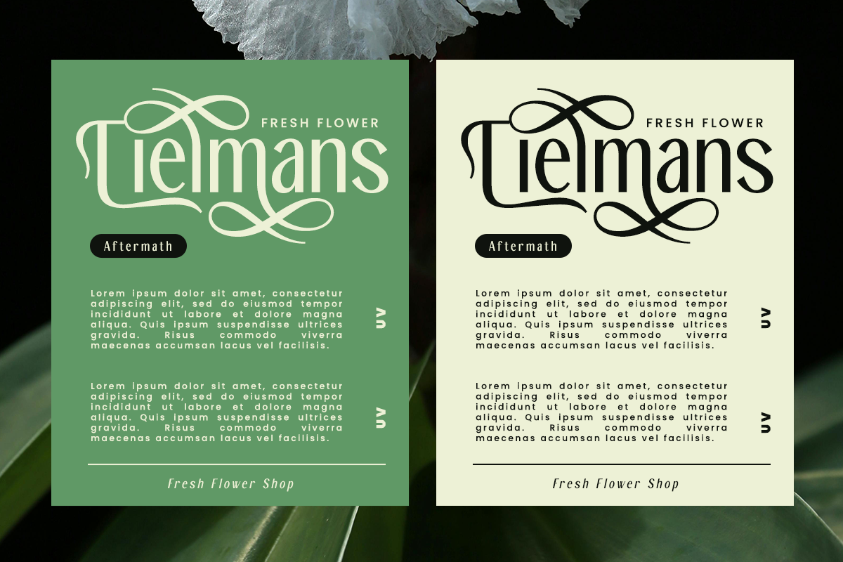 Zestiar – Elegant Condensed Sans, a Sans Serif Font by RagamKata (Photo 4 of 10)