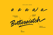Zenith Script, a Script Font by kavoon (Thumbnail 7 of 9)