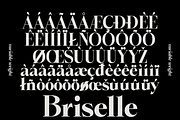 Briselle, a Serif Font by Propertype (Thumbnail 11 of 15)