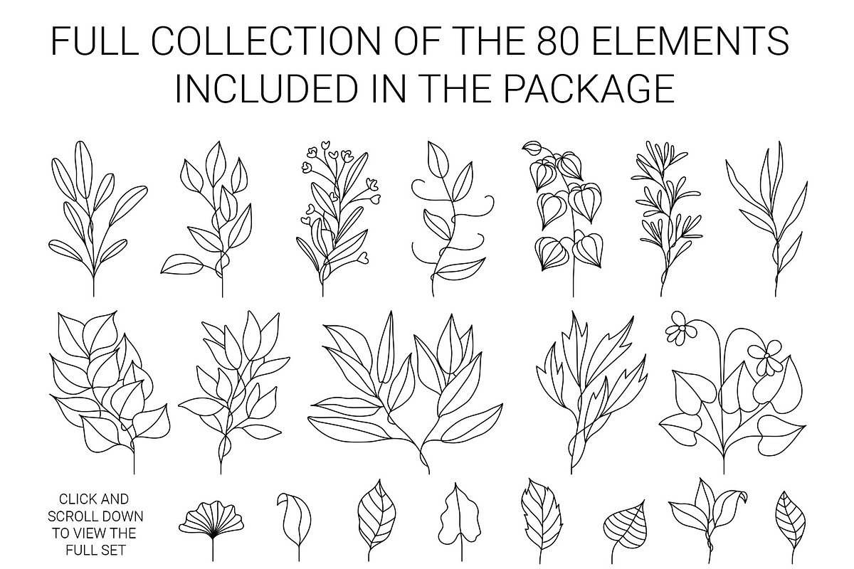 Botanical Vector Greenery & Flowers, a Decorative Illustration by FourLeafLover (Photo 2 of 5)
