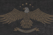 Bald Eagle Typeface, a Symbol Font by Gleb Guralnyk (Thumbnail 5 of 6)