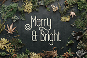 SLTF Holiday Whispers Typeface, a Sans Serif Font by SilverStag Type Foundry (Thumbnail 5 of 20)