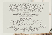 Blissful Harmony, a Script Font by operatype.co (Thumbnail 17 of 17)