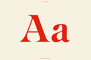 BN Chester - A Unique Serif Font, a Handwritten Font by Bnick (Thumbnail 2 of 10)