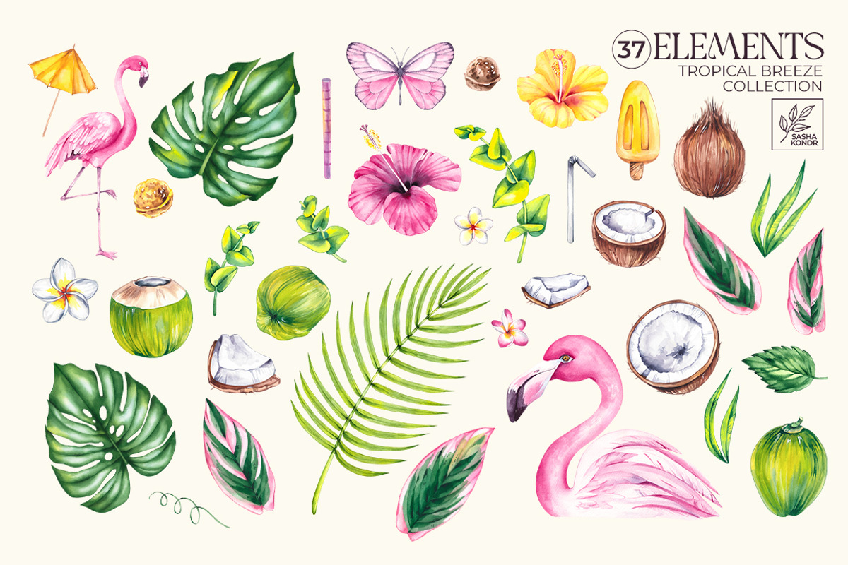 Tropical Breeze Clipart & Patterns, a Seasonal Illustration by SashaKondr (Photo 13 of 13)
