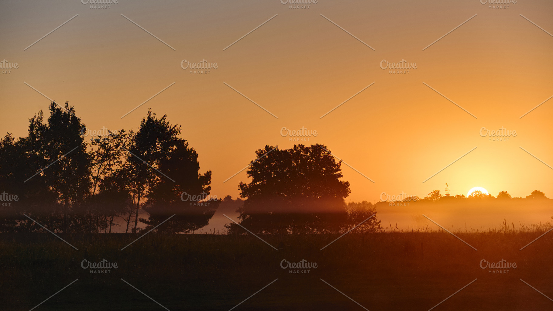 Golden sunrise landscape with tree silhouettes and low ground fog. Misty mornin, a Nature Photo by Rohan Photography