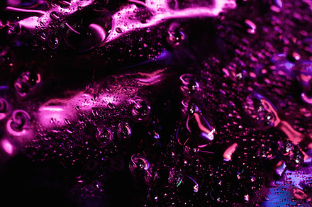Flickering dew purple drops shiny, a Background Photo by Photo Drive Studio