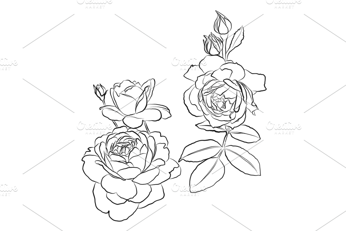 Outlined Flowers, an Object Graphic by VictoriaKStudio (Photo 2 of 4)