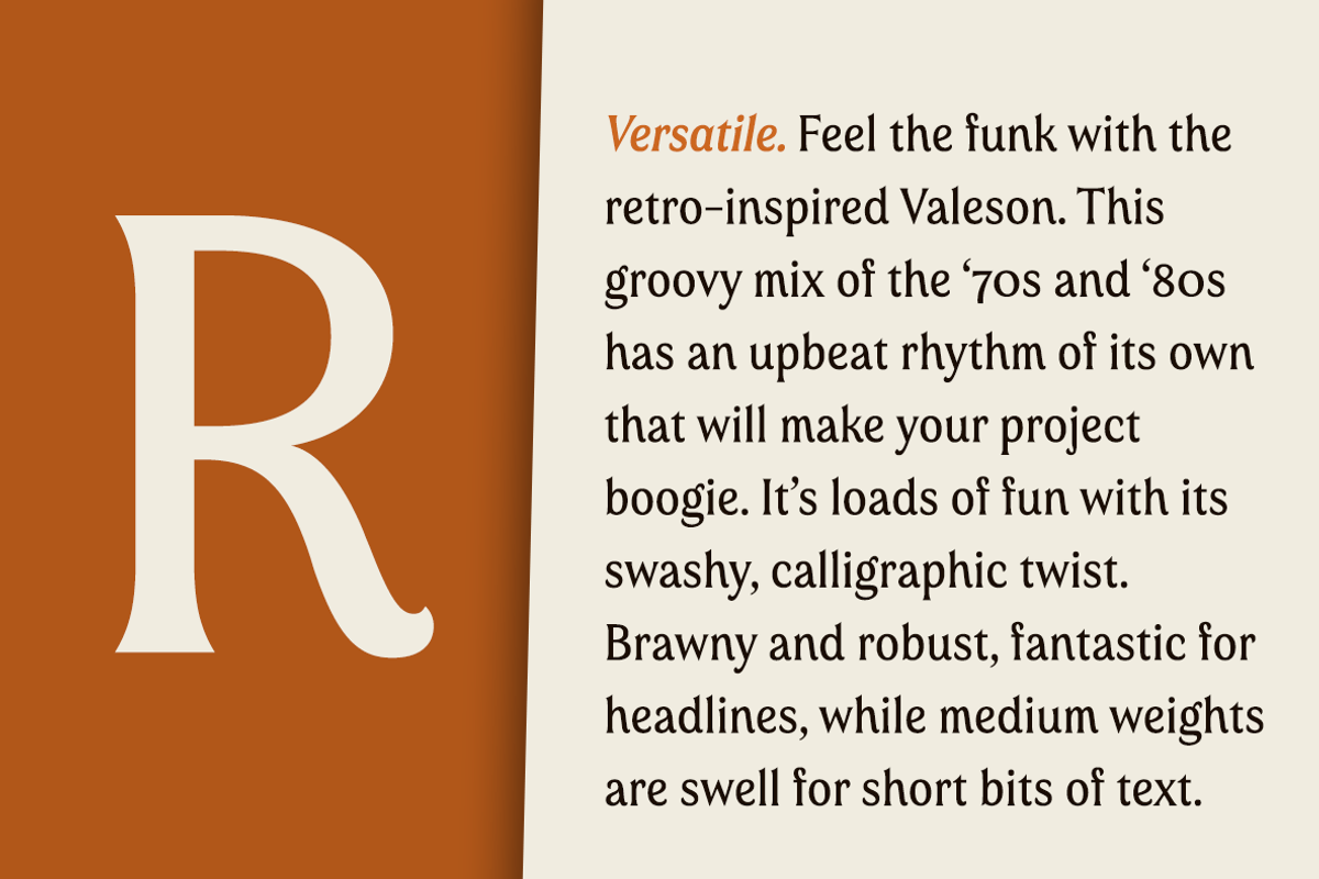 Valeson, a Serif Font by insigne (Photo 2 of 5)