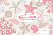 Seashells Clipart in Soft Pink, an Illustration by Amanda Ilkov (Thumbnail 1 of 5)