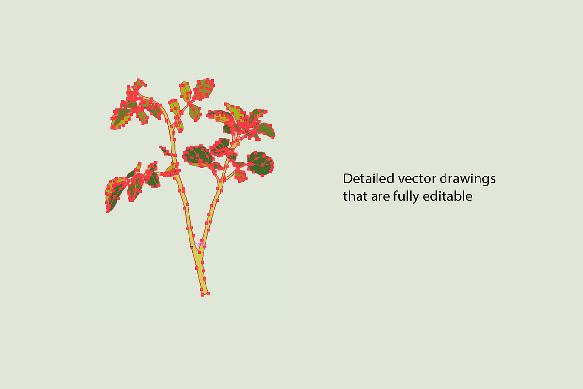 Seasonal Vegetables in high detail, a Food Illustration by Goodputty (Photo 2 of 3)