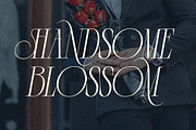 Demeris - Modern Refined Serif, a Serif Font by Qweera Studio (Thumbnail 5 of 12)